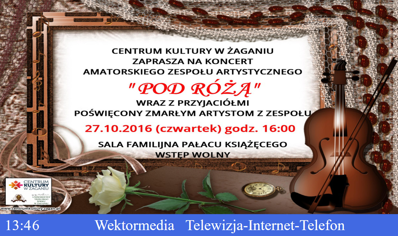 plansza