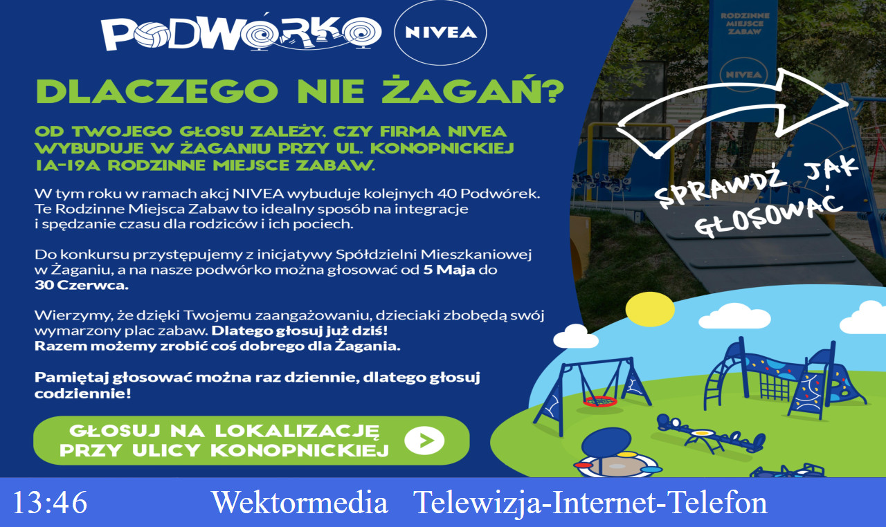 plansza
