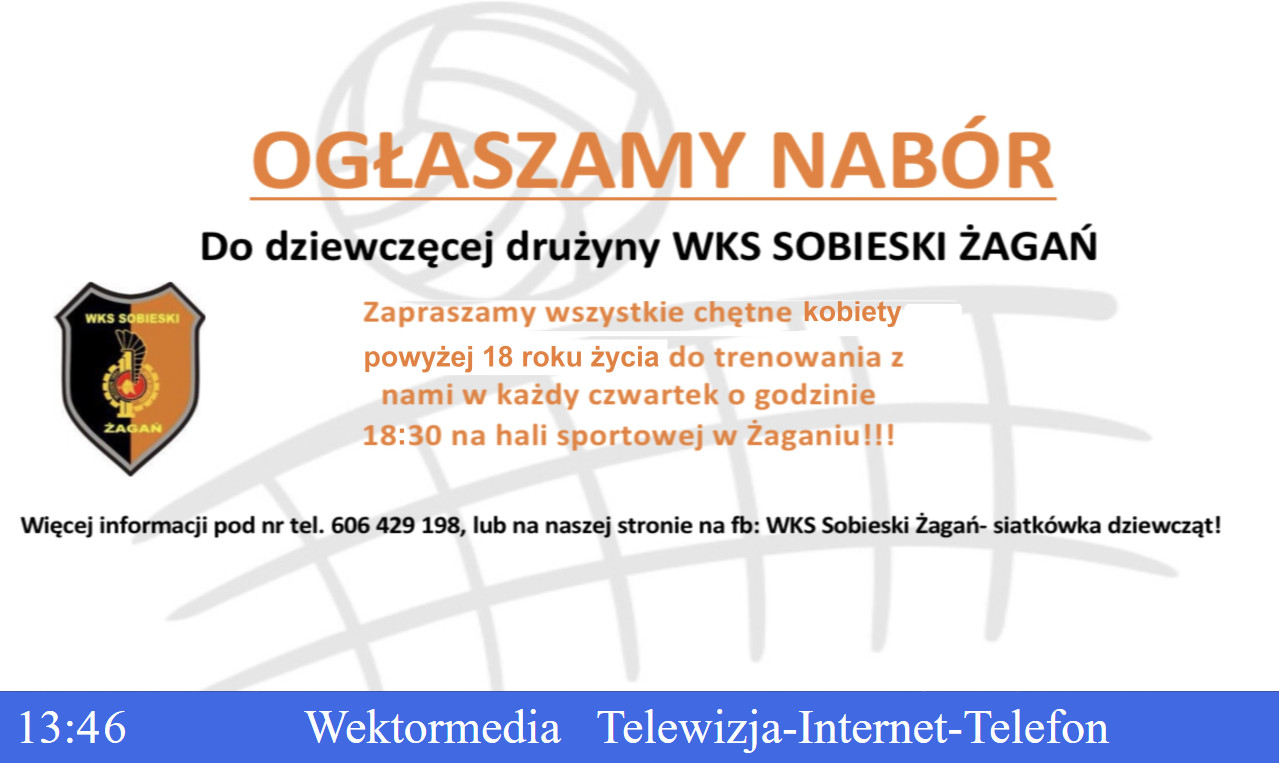plansza