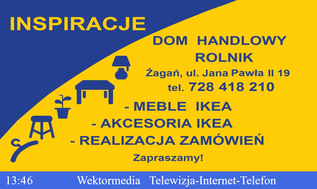 plansza